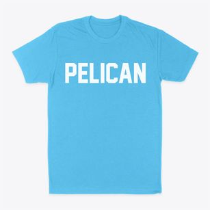 Pelican Wisconsin Classic Block Classic Dad T-Shirt