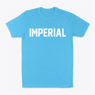 Imperial Pennsylvania Classic Block Classic Dad T-Shirt