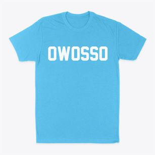 Owosso Michigan Classic Block Classic Dad T-Shirt