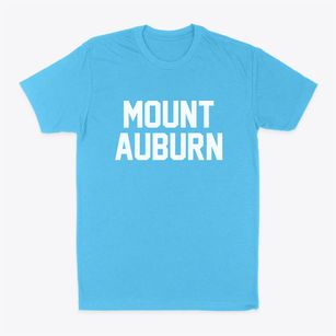 Mount Auburn Iowa Classic Block Classic Dad T-Shirt