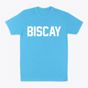 Biscay Minnesota Classic Block Classic Dad T-Shirt