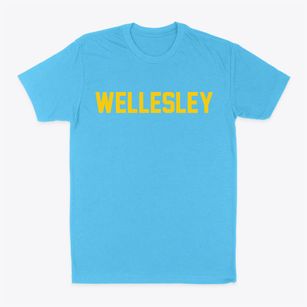 Wellesley Massachusetts Classic Block Classic Dad T-Shirt