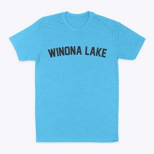 Winona Lake Indiana Classic Curve Classic Dad T-Shirt