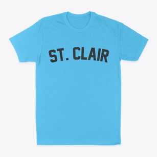 St. Clair Missouri Classic Curve Classic Dad T-Shirt
