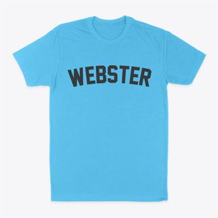 Webster New York Classic Curve Classic Dad T-Shirt