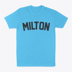 Milton Georgia Classic Curve Classic Dad T-Shirt