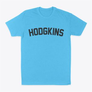 Hodgkins Illinois Classic Curve Classic Dad T-Shirt