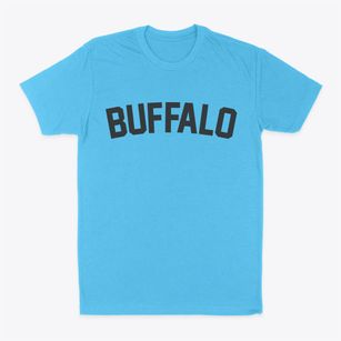 Buffalo Iowa Classic Curve Classic Dad T-Shirt