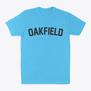 Oakfield Wisconsin Classic Curve Classic Dad T-Shirt