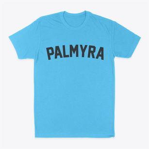 Palmyra Indiana Classic Curve Classic Dad T-Shirt