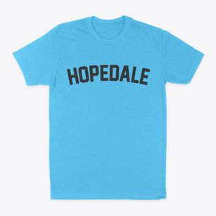 Hopedale Illinois Classic Curve Classic Dad T-Shirt