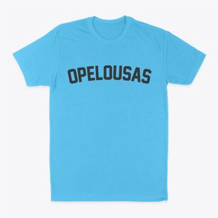 Opelousas Louisiana Classic Curve Classic Dad T-Shirt