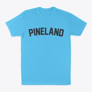 Pineland Florida Classic Curve Classic Dad T-Shirt