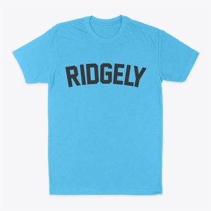 Ridgely Missouri Classic Curve Classic Dad T-Shirt