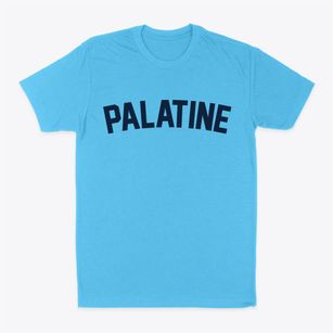 Palatine New York Classic Curve Classic Dad T-Shirt