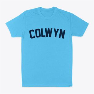 Colwyn Pennsylvania Classic Curve Classic Dad T-Shirt
