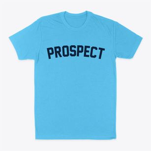 Prospect Pennsylvania Classic Curve Classic Dad T-Shirt