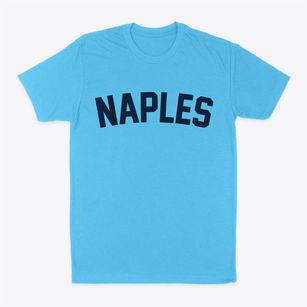 Naples Florida Classic Curve Classic Dad T-Shirt