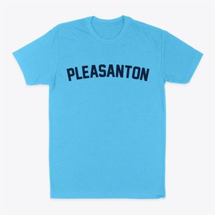 Pleasanton Iowa Classic Curve Classic Dad T-Shirt