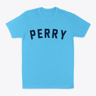 Perry Iowa Classic Curve Classic Dad T-Shirt