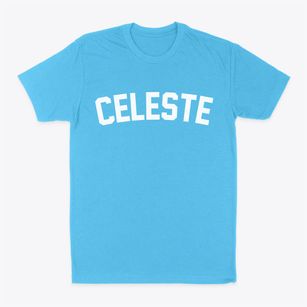 Celeste Texas Classic Curve Classic Dad T-Shirt