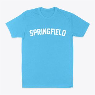 Springfield Illinois Classic Curve Classic Dad T-Shirt