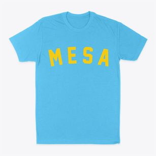 Mesa Arizona Classic Curve Classic Dad T-Shirt