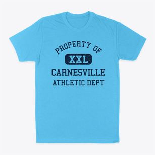 Carnesville Georgia Athletic Dept Classic Dad T-Shirt