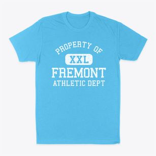 Fremont Michigan Athletic Dept Classic Dad T-Shirt