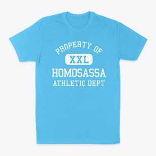 Homosassa Florida Athletic Dept Classic Dad T-Shirt