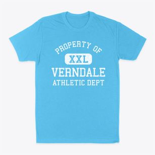 Verndale Minnesota Athletic Dept Classic Dad T-Shirt