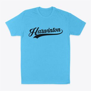 Harwinton Connecticut Vintage Team Classic Dad T-Shirt