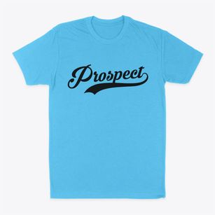 Prospect Kentucky Vintage Team Classic Dad T-Shirt