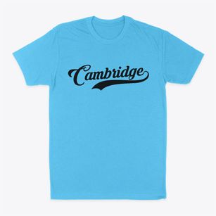 Cambridge Vermont Vintage Team Classic Dad T-Shirt