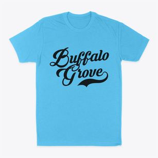 Buffalo Grove Illinois Vintage Team Classic Dad T-Shirt