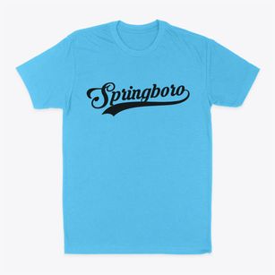 Springboro Ohio Vintage Team Classic Dad T-Shirt