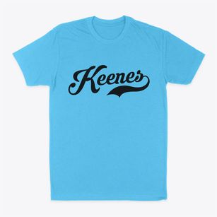 Keenes Illinois Vintage Team Classic Dad T-Shirt