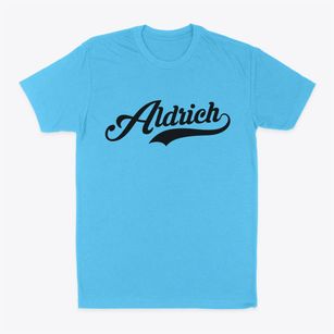 Aldrich Missouri Vintage Team Classic Dad T-Shirt