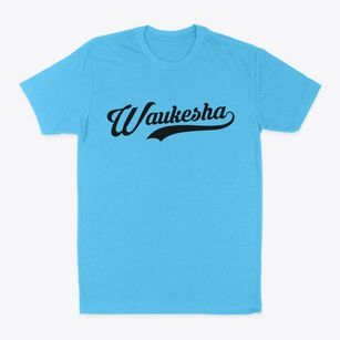 Waukesha Wisconsin Vintage Team Classic Dad T-Shirt