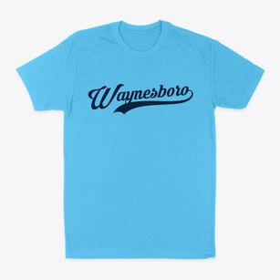 Waynesboro Georgia Vintage Team Classic Dad T-Shirt