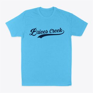 Brices Creek North Carolina Vintage Team Classic Dad T-Shirt