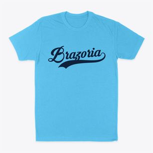 Brazoria Texas Vintage Team Classic Dad T-Shirt