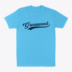Greenwood South Carolina Vintage Team Classic Dad T-Shirt