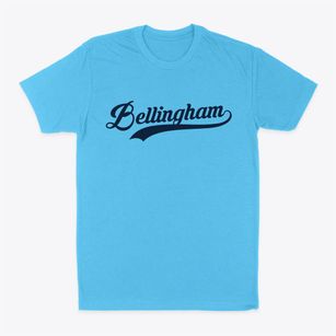 Bellingham Minnesota Vintage Team Classic Dad T-Shirt