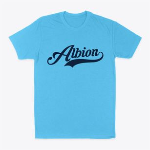 Albion Oklahoma Vintage Team Classic Dad T-Shirt