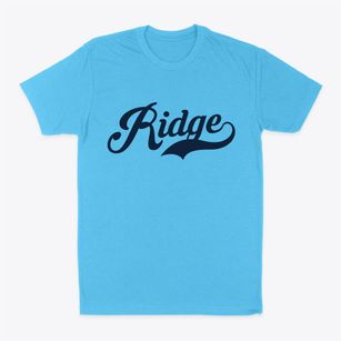 Ridge New York Vintage Team Classic Dad T-Shirt