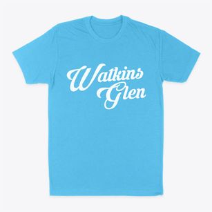 Watkins Glen New York Vintage Team Classic Dad T-Shirt