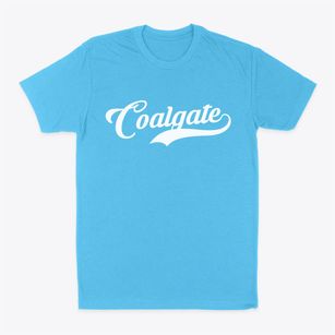 Coalgate Oklahoma Vintage Team Classic Dad T-Shirt