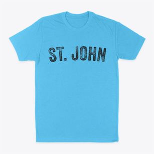 St. John Washington Timeless Retro Classic Dad T-Shirt