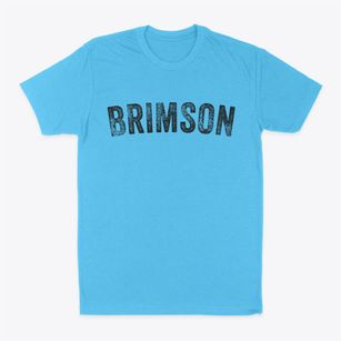 Brimson Missouri Timeless Retro Classic Dad T-Shirt